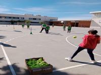 Educación deportiva